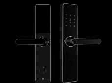 青松沃德-Wi-Fi 指紋鎖家用防盜門智能門鎖密碼鎖刷卡電子鎖 防磁干擾 防撬 L9-WT (不含鎖體，鎖體需另購(gòu)）